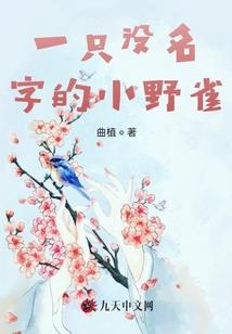 仓鼠什么天气用木屑