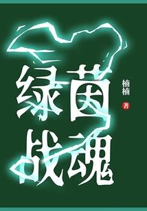 11号魏都区天气情况表