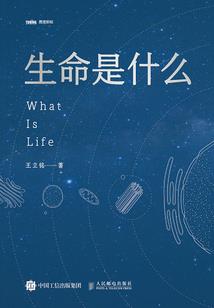 宁波市近一周天气