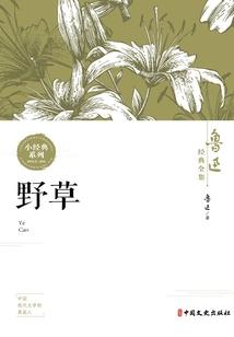 明天渭源天气怎么样