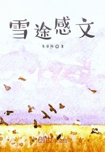 福州2024年8月份天气