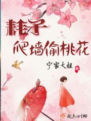 晴天天气表征