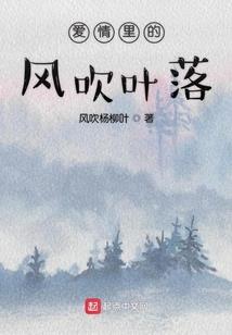 系统天气工具怎么用的
