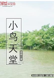 今年西安过年什么天气好