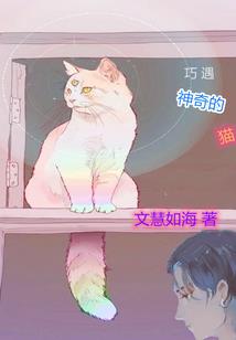 新西兰的生活条件和天气