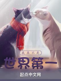 泰安去年一年的天气情况