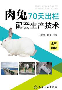 浑江村天气