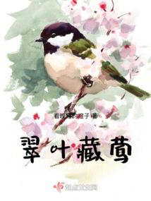 今日天气霾
