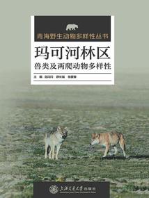 带着孩子玩天气冷吗