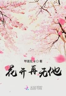 瑞丽11月的天气