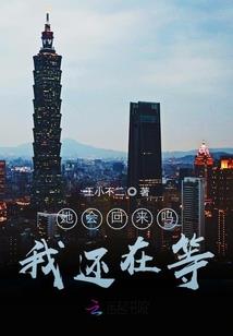 广东肇庆五日内天气情况