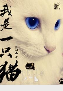 4月17日广宁天气如何