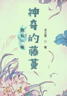 天津的一年天气情况