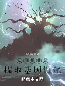安卓手机怎么加天气