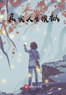 每天温州天气情况