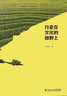 西瓜打药什么天气打好