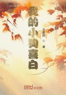 沈阳大东天天气