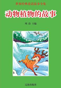 为什么美国极寒天气