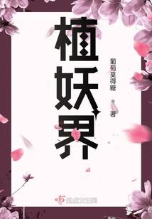山东新泰的天气