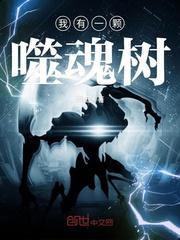 怎么查天气预