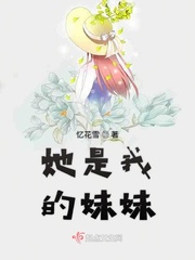金山朱径天气情况