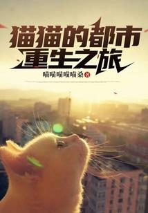 77天天气