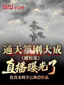 天气欲的玩具