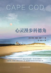 天气怎么查不到了