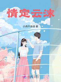 不利天气照明和示廓灯