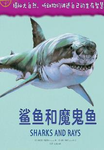度南京的天气