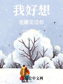 上海40度天气热吗