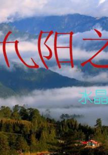 天气变热植物怎么养