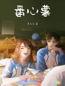 一周泰顺天气预报
