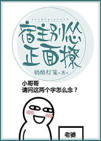 上海天气明后天天气情况