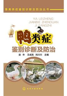 今天的黑色的天气