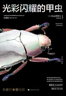 2015年江苏天气盐城