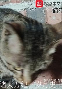 天气冷防猝死图片搞笑