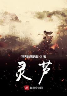 普林斯顿一年天气