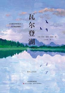 九华天池1一周天气预报