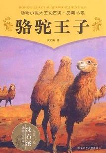 天气与天空的区别和联系
