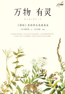 新疆有着特殊的天气