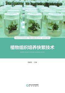 海南9月9号天气如何
