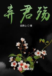 15月日天气预报