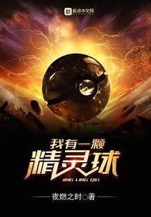 西双版纳现天天气如何
