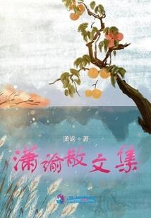 新津昨天天气预报