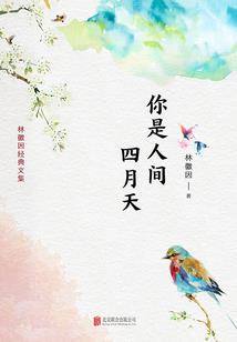 郸城县天气情况