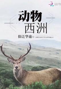 元氏最近的天气