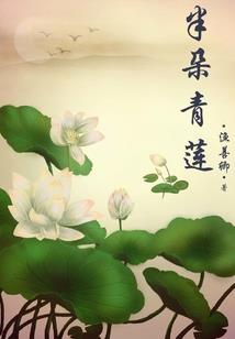 光山40天天气