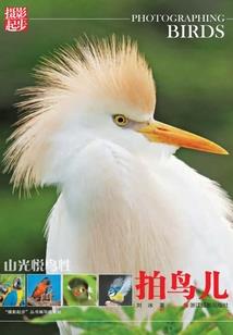 天气小报二年级图文并茂