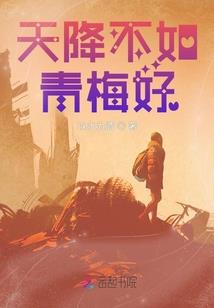最热的夏天是什么天气